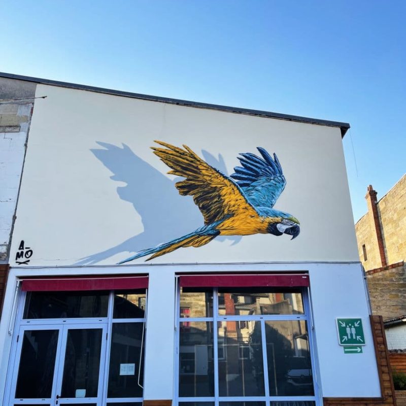 Oiseau Peint Sur Mur Par L'artiste A-MO Street Art.